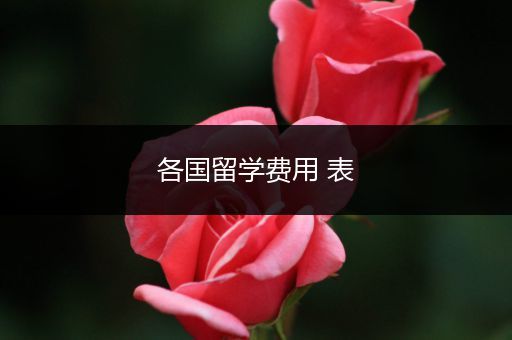 各国留学费用 表