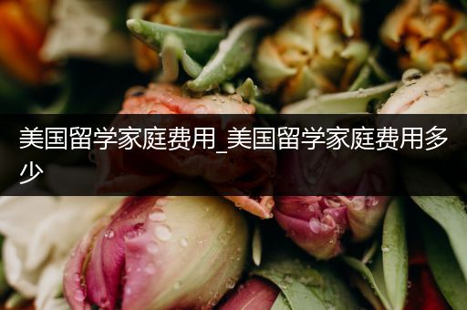 美国留学家庭费用_美国留学家庭费用多少