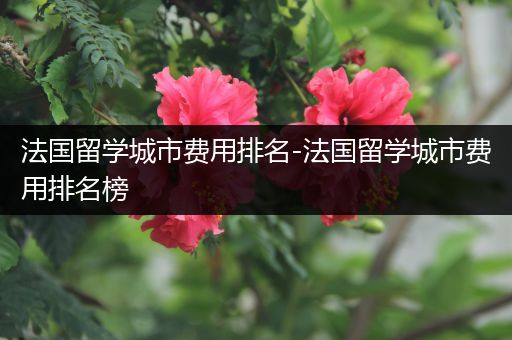 法国留学城市费用排名-法国留学城市费用排名榜