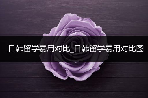 日韩留学费用对比_日韩留学费用对比图