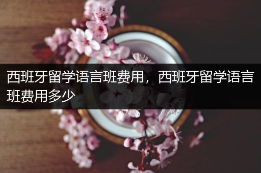 西班牙留学语言班费用，西班牙留学语言班费用多少