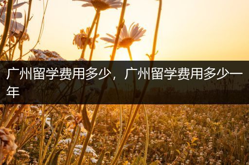 广州留学费用多少，广州留学费用多少一年