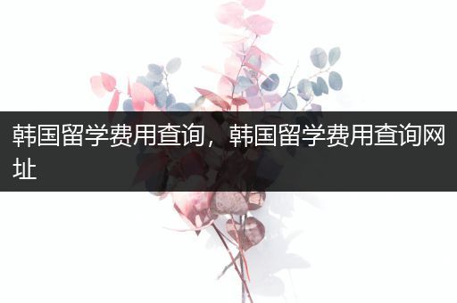 韩国留学费用查询，韩国留学费用查询网址