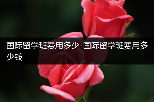 国际留学班费用多少-国际留学班费用多少钱