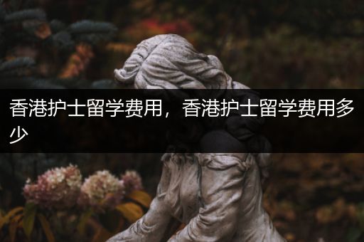 香港护士留学费用，香港护士留学费用多少