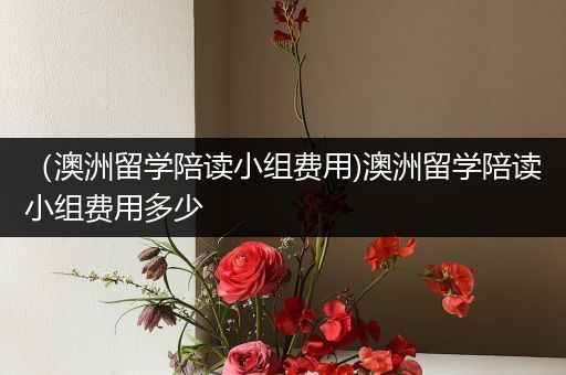 （澳洲留学陪读小组费用)澳洲留学陪读小组费用多少