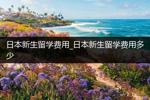 日本新生留学费用_日本新生留学费用多少