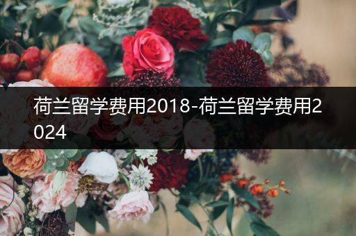 荷兰留学费用2018-荷兰留学费用2024