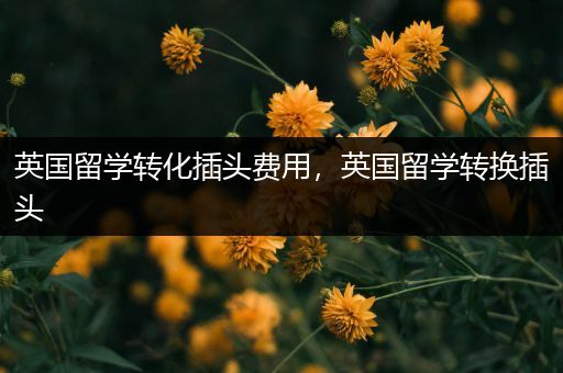 英国留学转化插头费用，英国留学转换插头