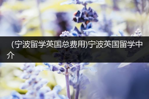 （宁波留学英国总费用)宁波英国留学中介