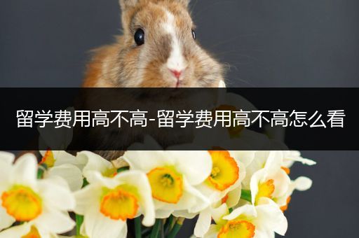 留学费用高不高-留学费用高不高怎么看