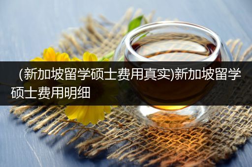 （新加坡留学硕士费用真实)新加坡留学硕士费用明细