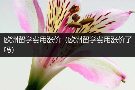 欧洲留学费用涨价（欧洲留学费用涨价了吗）