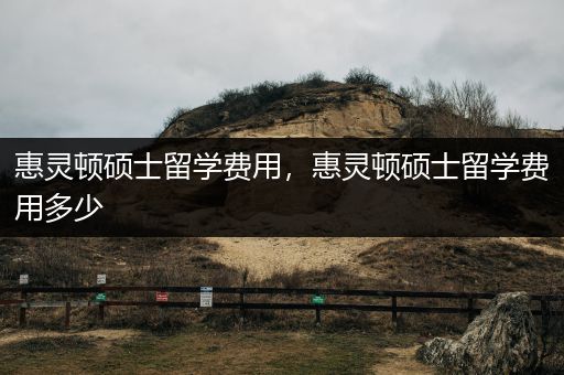 惠灵顿硕士留学费用，惠灵顿硕士留学费用多少