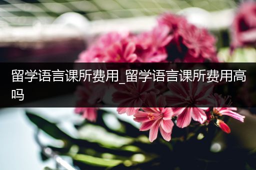 留学语言课所费用_留学语言课所费用高吗
