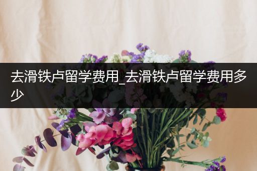 去滑铁卢留学费用_去滑铁卢留学费用多少