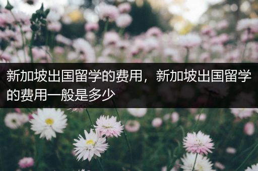 新加坡出国留学的费用，新加坡出国留学的费用一般是多少