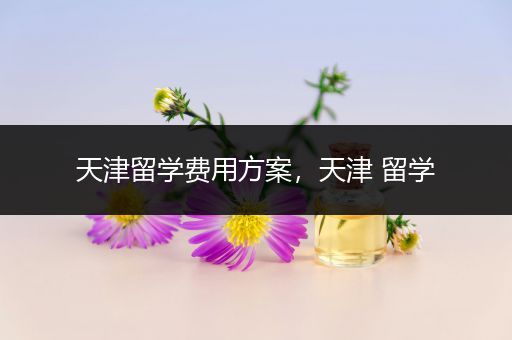 天津留学费用方案，天津 留学