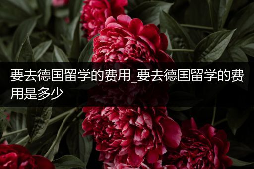 要去德国留学的费用_要去德国留学的费用是多少