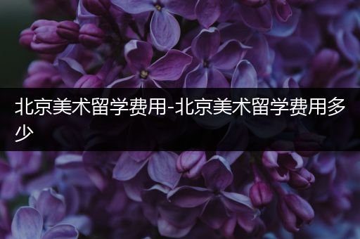 北京美术留学费用-北京美术留学费用多少