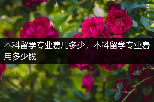 本科留学专业费用多少，本科留学专业费用多少钱