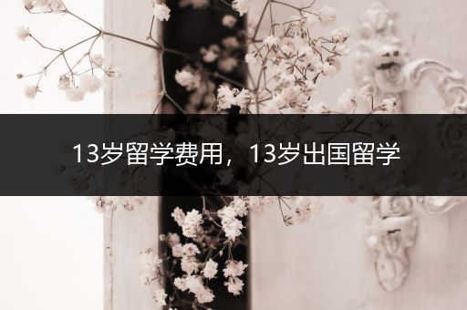 13岁留学费用，13岁出国留学