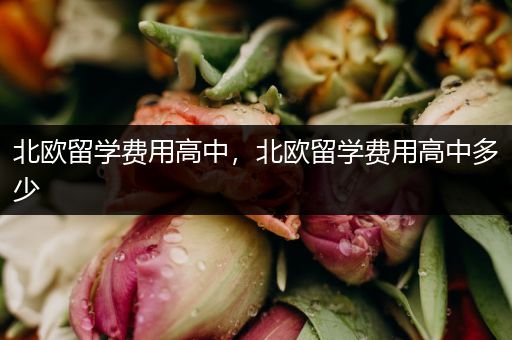 北欧留学费用高中，北欧留学费用高中多少