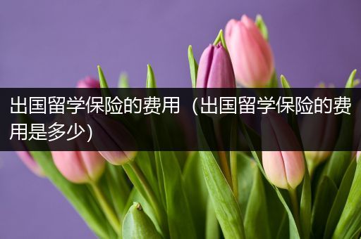 出国留学保险的费用（出国留学保险的费用是多少）