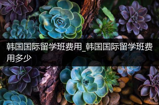 韩国国际留学班费用_韩国国际留学班费用多少