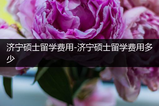济宁硕士留学费用-济宁硕士留学费用多少