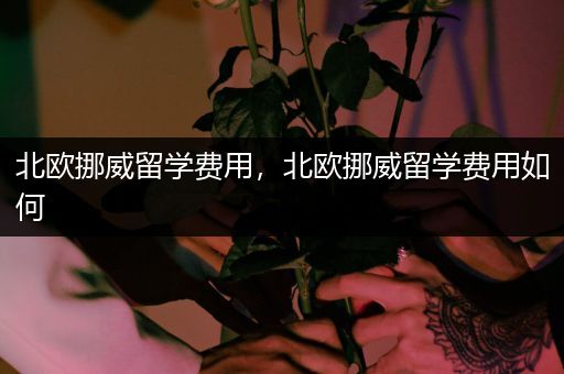 北欧挪威留学费用，北欧挪威留学费用如何