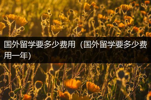 国外留学要多少费用（国外留学要多少费用一年）