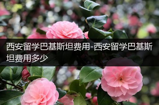 西安留学巴基斯坦费用-西安留学巴基斯坦费用多少