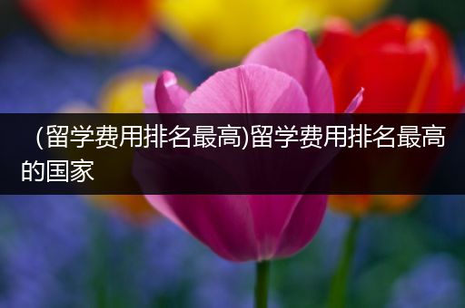 （留学费用排名最高)留学费用排名最高的国家