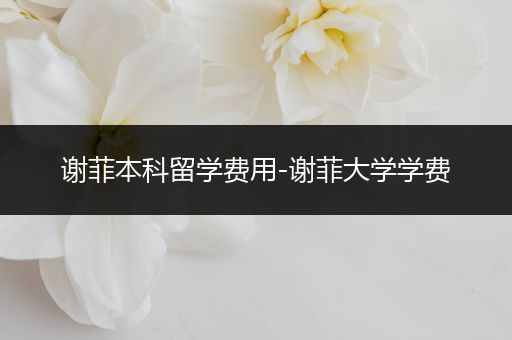 谢菲本科留学费用-谢菲大学学费