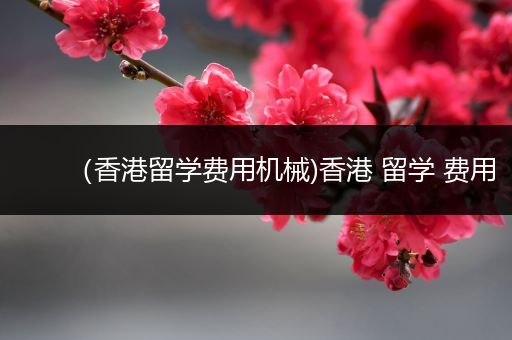 （香港留学费用机械)香港 留学 费用