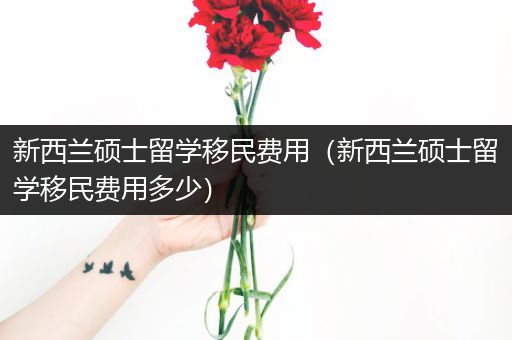 新西兰硕士留学移民费用（新西兰硕士留学移民费用多少）