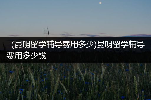 （昆明留学辅导费用多少)昆明留学辅导费用多少钱