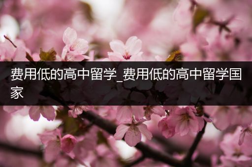 费用低的高中留学_费用低的高中留学国家