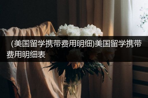 （美国留学携带费用明细)美国留学携带费用明细表