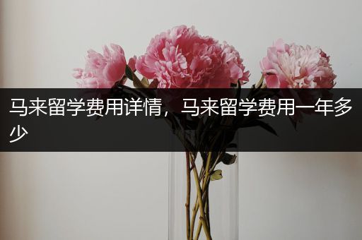 马来留学费用详情，马来留学费用一年多少