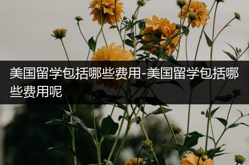 美国留学包括哪些费用-美国留学包括哪些费用呢
