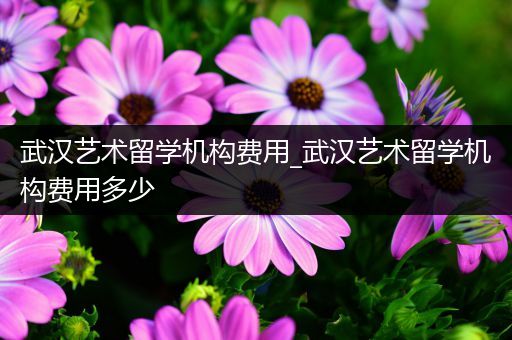 武汉艺术留学机构费用_武汉艺术留学机构费用多少