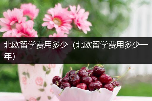 北欧留学费用多少（北欧留学费用多少一年）