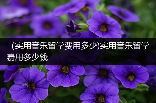 （实用音乐留学费用多少)实用音乐留学费用多少钱