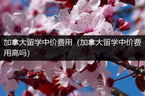 加拿大留学中价费用（加拿大留学中价费用高吗）