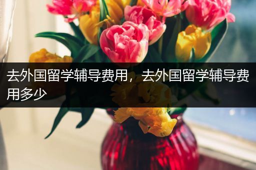 去外国留学辅导费用，去外国留学辅导费用多少