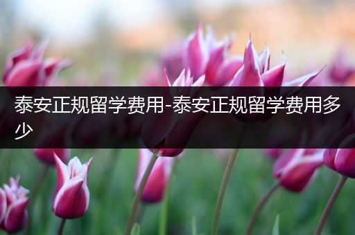 泰安正规留学费用-泰安正规留学费用多少