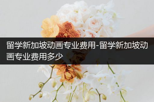 留学新加坡动画专业费用-留学新加坡动画专业费用多少