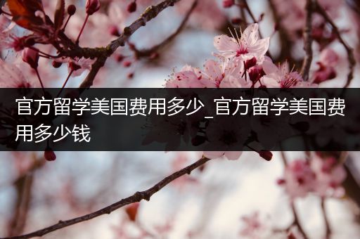 官方留学美国费用多少_官方留学美国费用多少钱